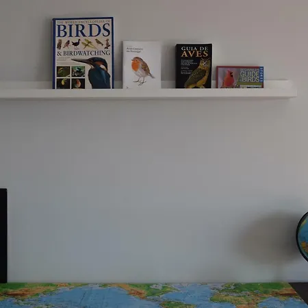 Affittacamere Casa Dos Passarinhos-seaview@nazare Nazaré