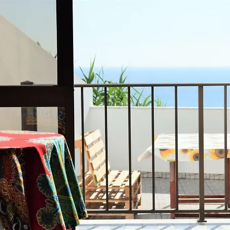 Casa Dos Passarinhos-seaview@nazare Guest house *
