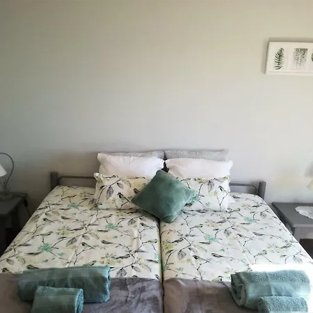 Casa Dos Passarinhos-seaview@nazare Penzion *