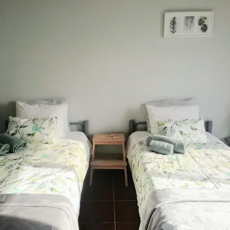 Casa Dos Passarinhos-seaview@nazare * Nazaré