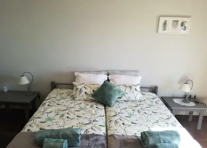 Casa Dos Passarinhos-seaview@nazare בית הארחה *